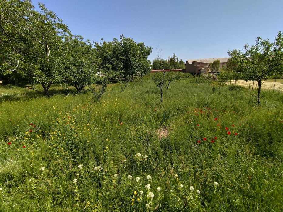 Yer sotiladi 12 sotx Mingchinor,Mingchinormfy Ziynat 3-tor koʻchasi 12