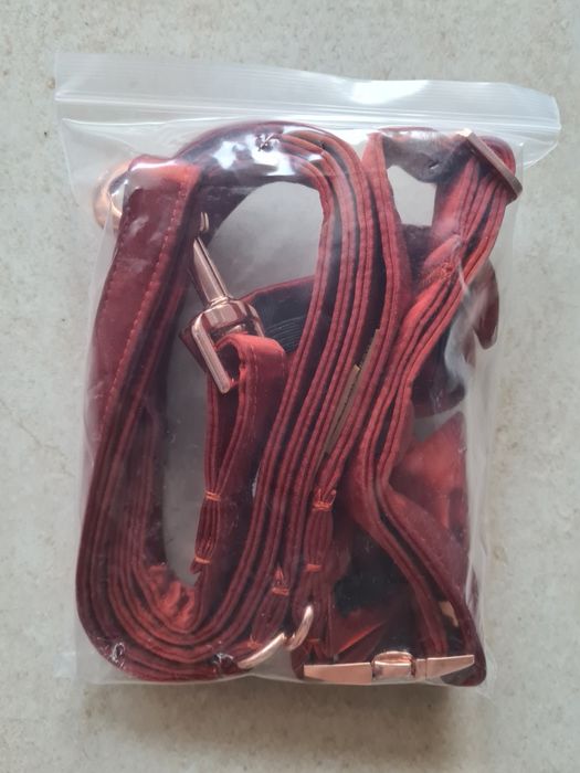 Lesa , zgarda si papion rosu caini