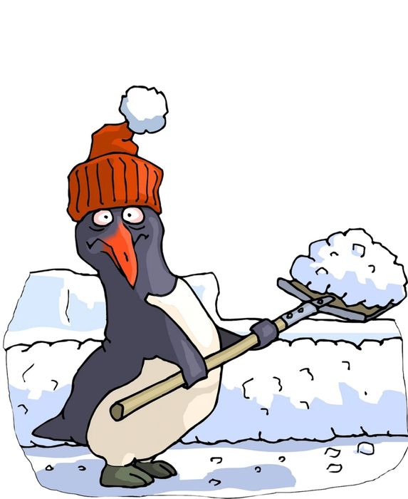 Уборка снега быстро и качественно