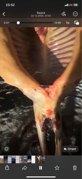 Касапшы резка скота