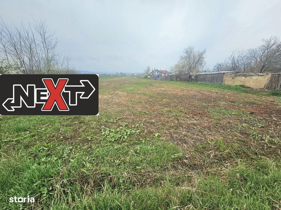 Teren 7200 mp Bodesti