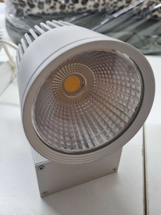 Reflectoare cu led ACA Bienal 30W