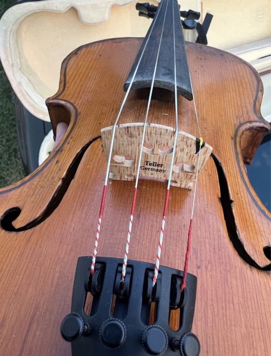 Vand Vioara 4/4 aprox 100 ani