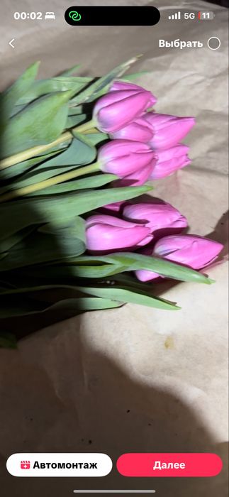 Оптом тюльпаны, тюльпаны галланские оптом и в розницу,