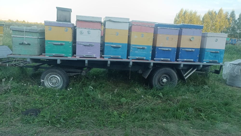 Продам улики,  рамки сущ.