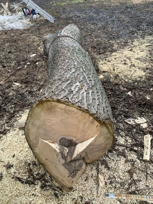 Lemn de Nuc , utilizat in scop de constrctie sau in scopul de creea ..