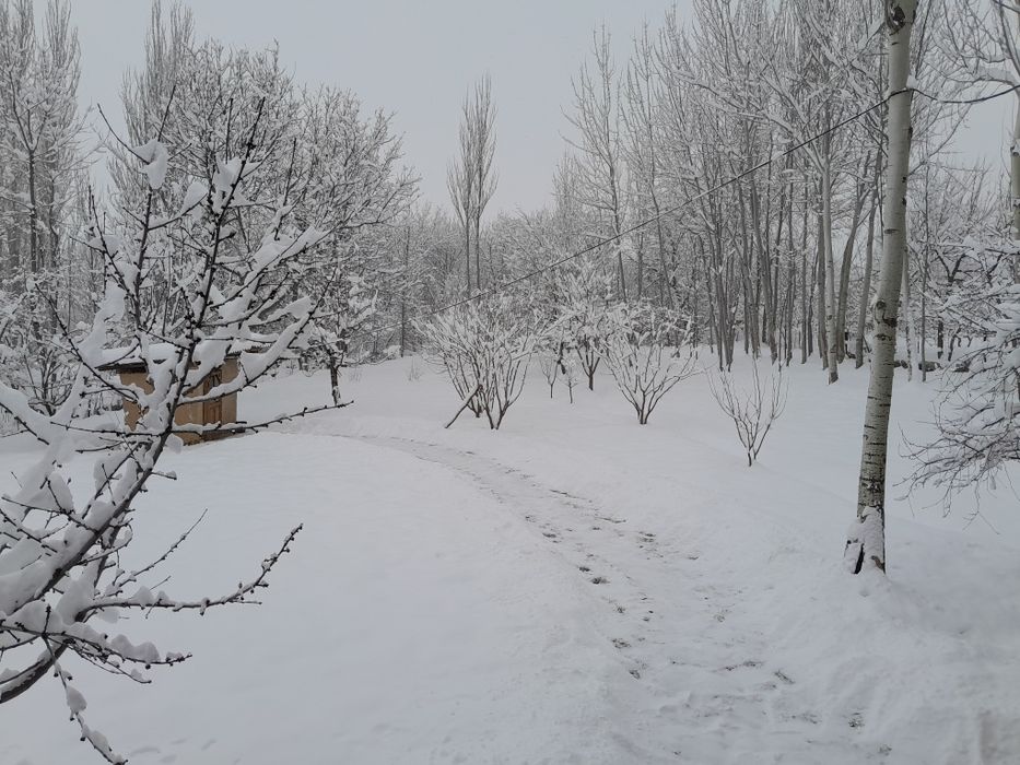 Dacha Uchun Yer Sotiladi