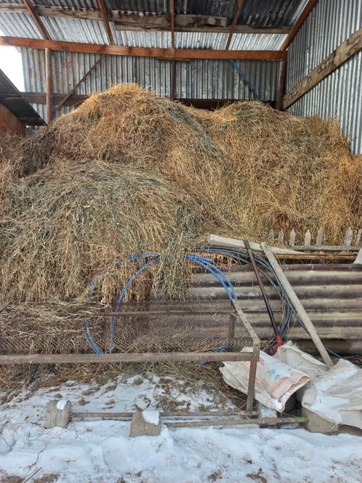Продам сено разнотравье