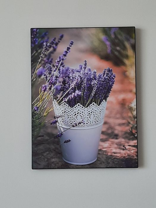 Красивые декор.картины