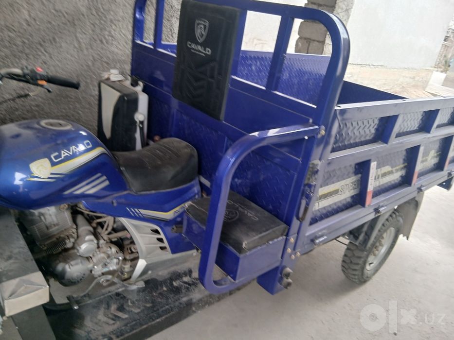 Murave Cavalo Forte R1