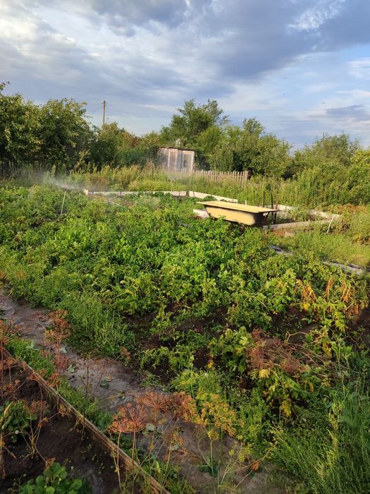 Продам дачу Садовод Колос