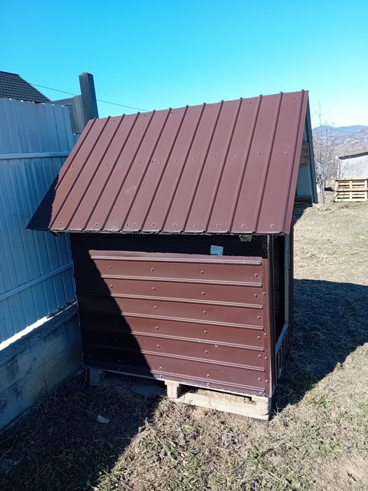 Vând coteț cățel