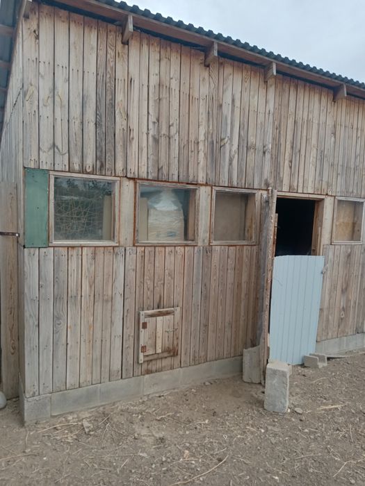 Продам щиты.Можно использовать для опалубки