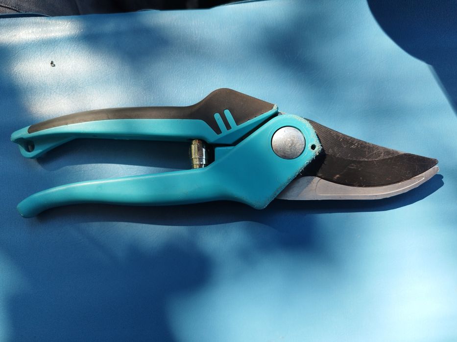 Лозарска ножица за градината.