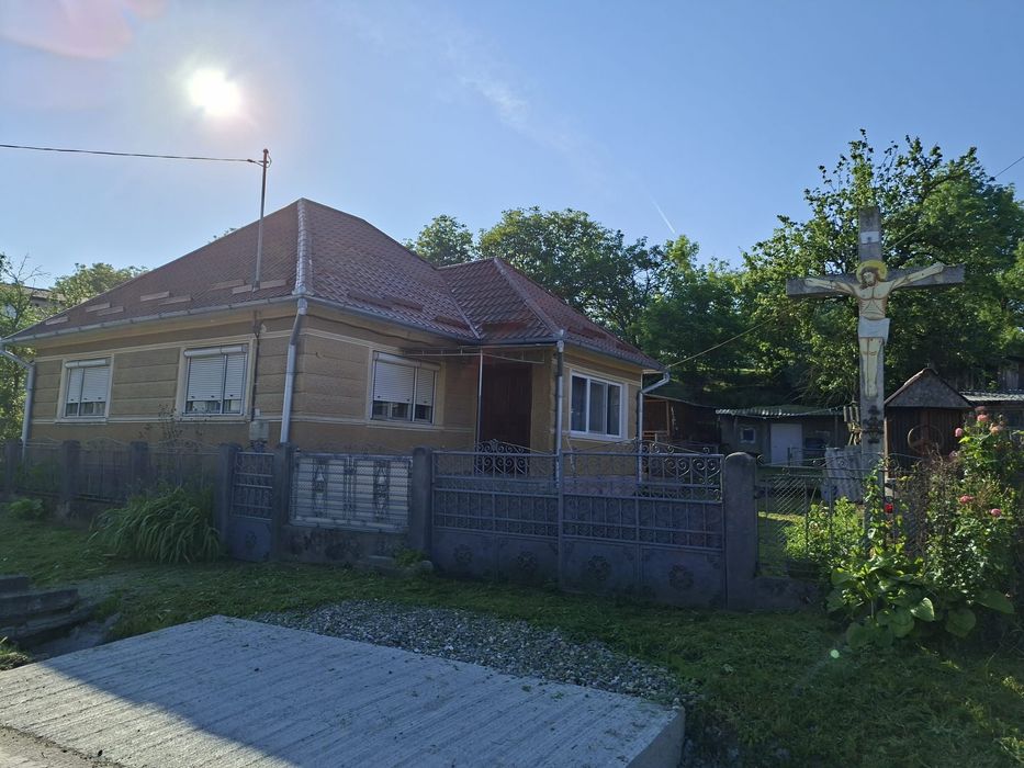 Vand casa in Mica