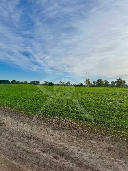 Парцел в с. Ягодово! 93874