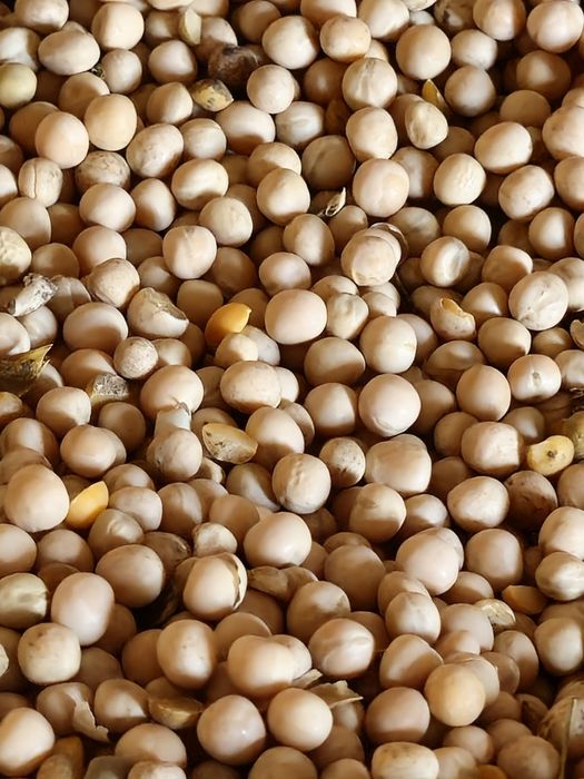 soia boabe 1.70 Soia boabe