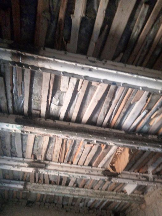 Kotej hovli sotiladi