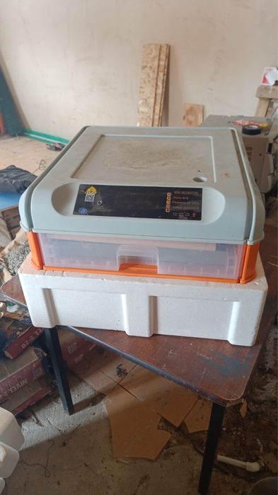 Инкубатор для яиц