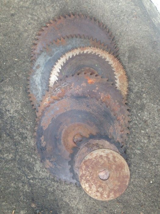 Диски пилорамы