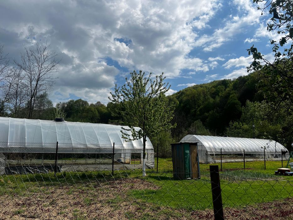 De vanzare teren Telega