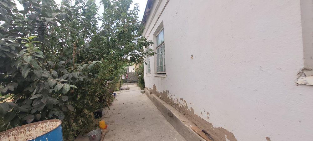 Ховли самарканд шох кучаси