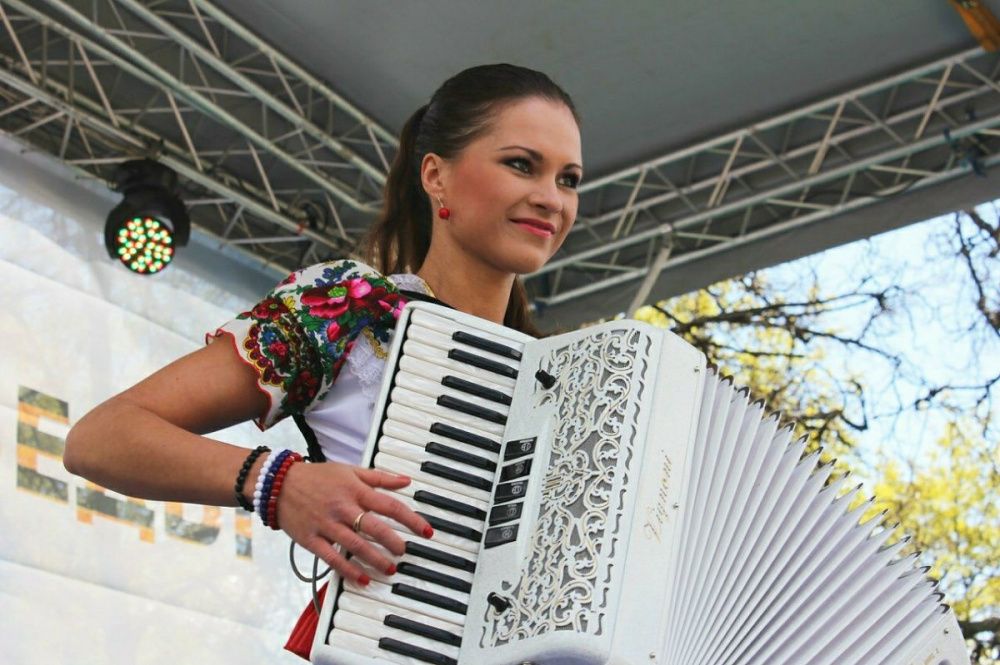 Уроки аккордеона преподаватель по музыке педагог индивидуальные уроки