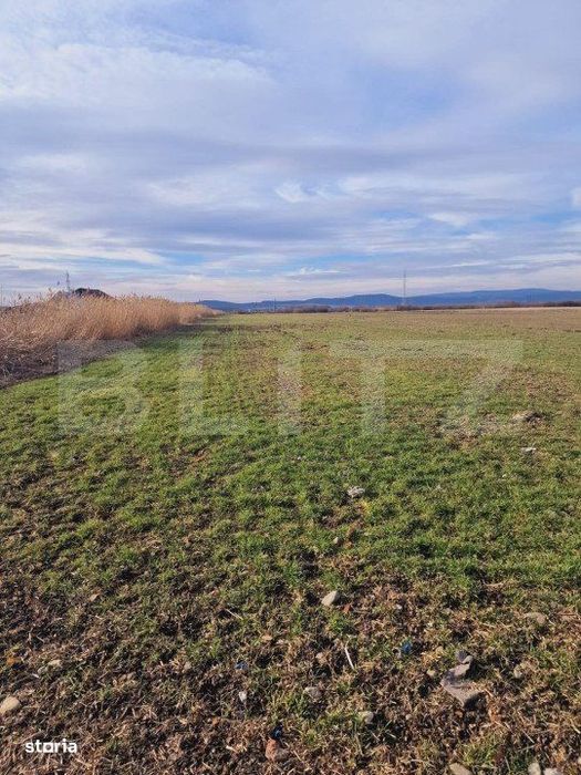 Teren intravilan, 8700mp,Prejmer