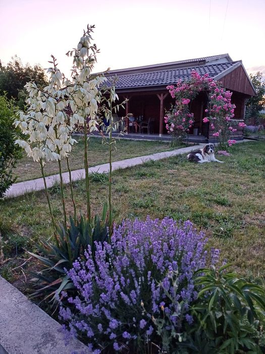 Casă P+E 2018, mobilată complet, teren 1500 mp – Valea Lupului