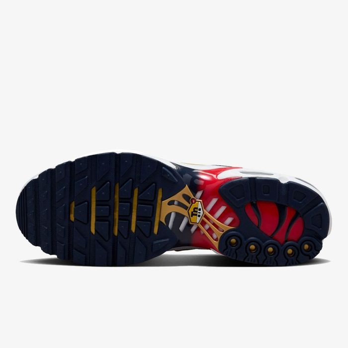 Nike Air Max Plus TN PSG