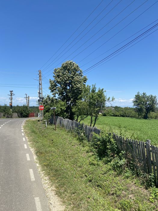 Proprietar, Vand teren intravilan 16600 mp, parcelabil, Comuna Cocu, Arges
