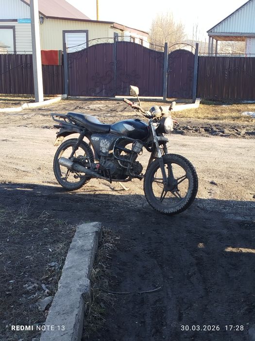 Альфа на полном ходу