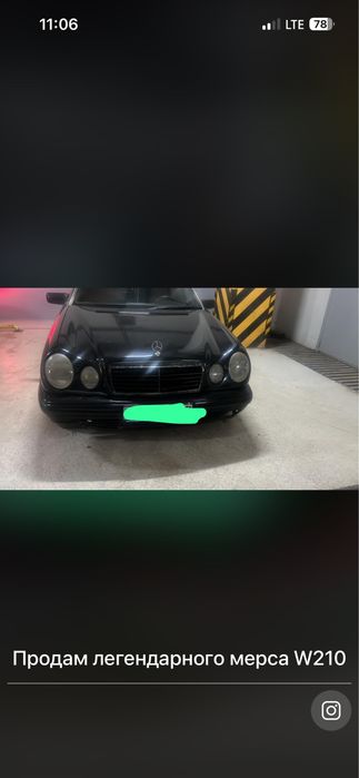 Мерседес лупарик