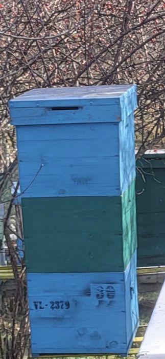 Vand Cutii Stupi Verticali 10 Rame cu Caturi