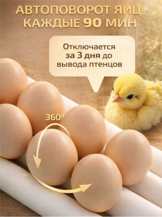 16talik avtomatik burilishli tuxum inkubatori harorat termoregulyatori