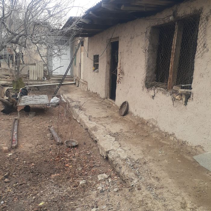 Феруз кошесинде жай сатилади.