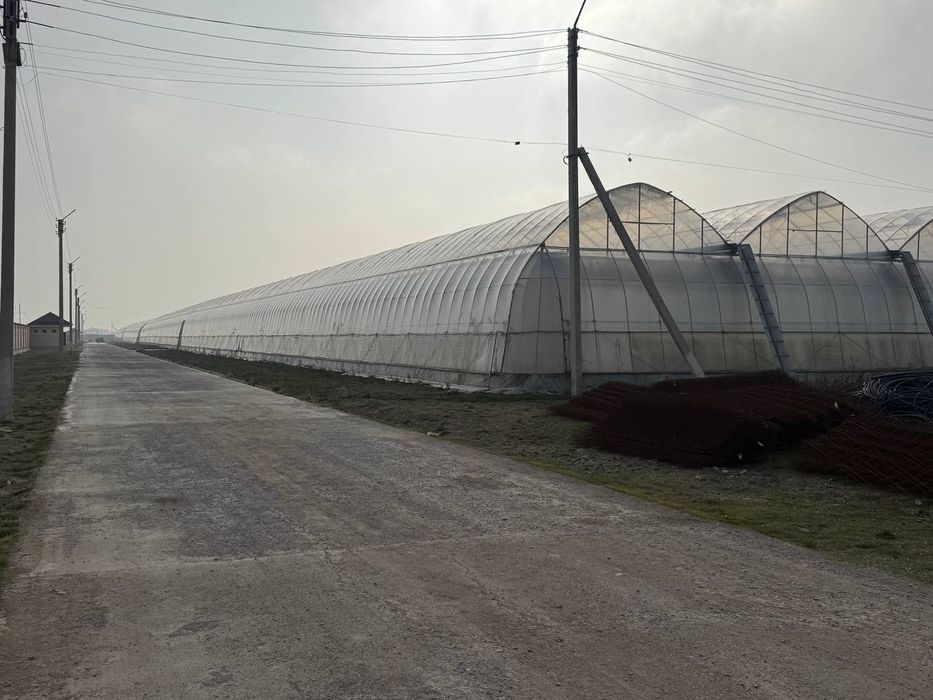 Теплица Сотилади 7га