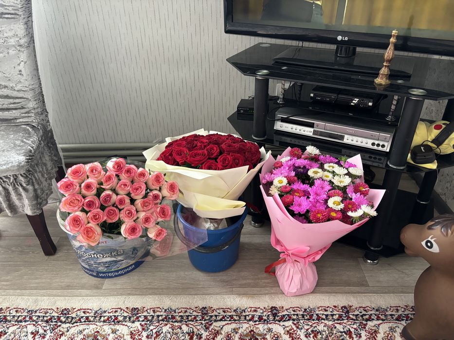 Продам цветы по договорной цене