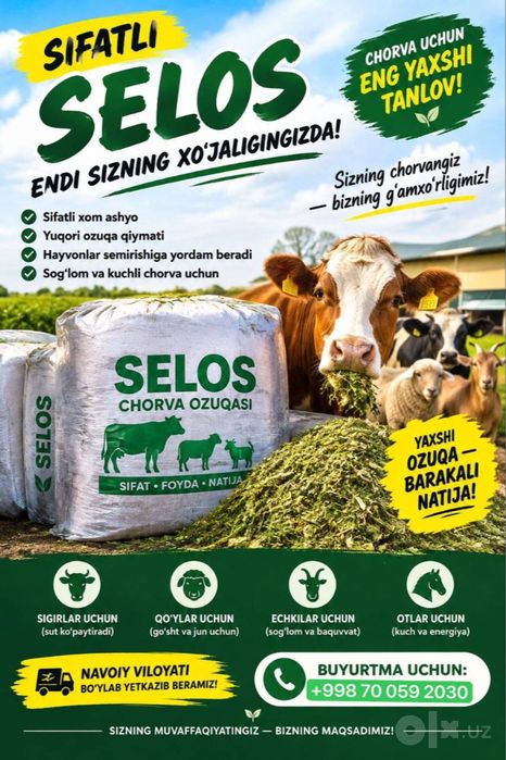 Selos chorvo yimlari