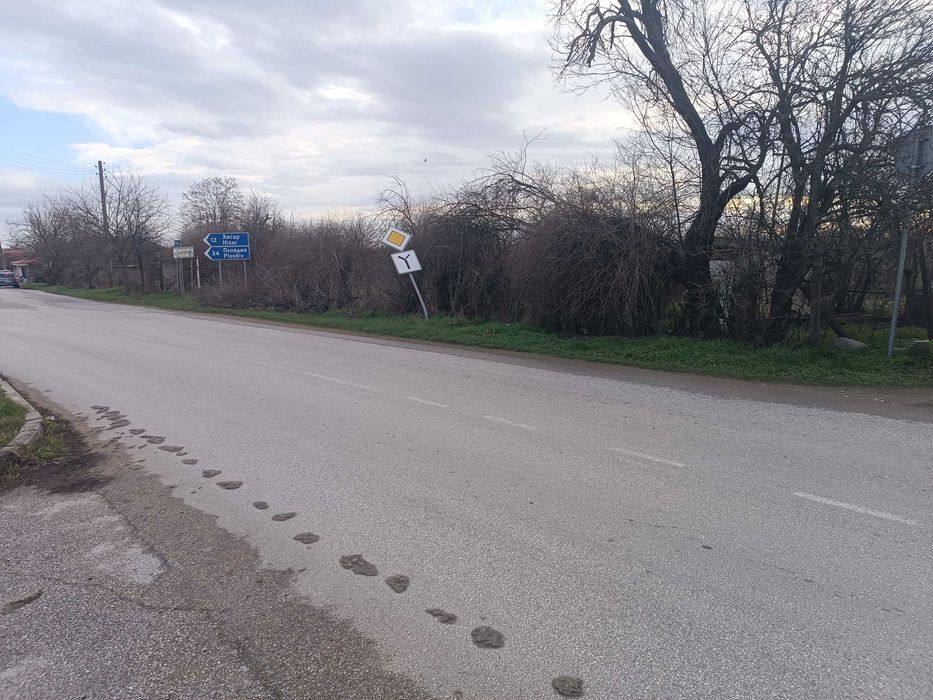 Продава се Парцел в с. Старо Железаре, Област Пловдив - 750 кв.м за 14 €/кв.м - Снимка #1