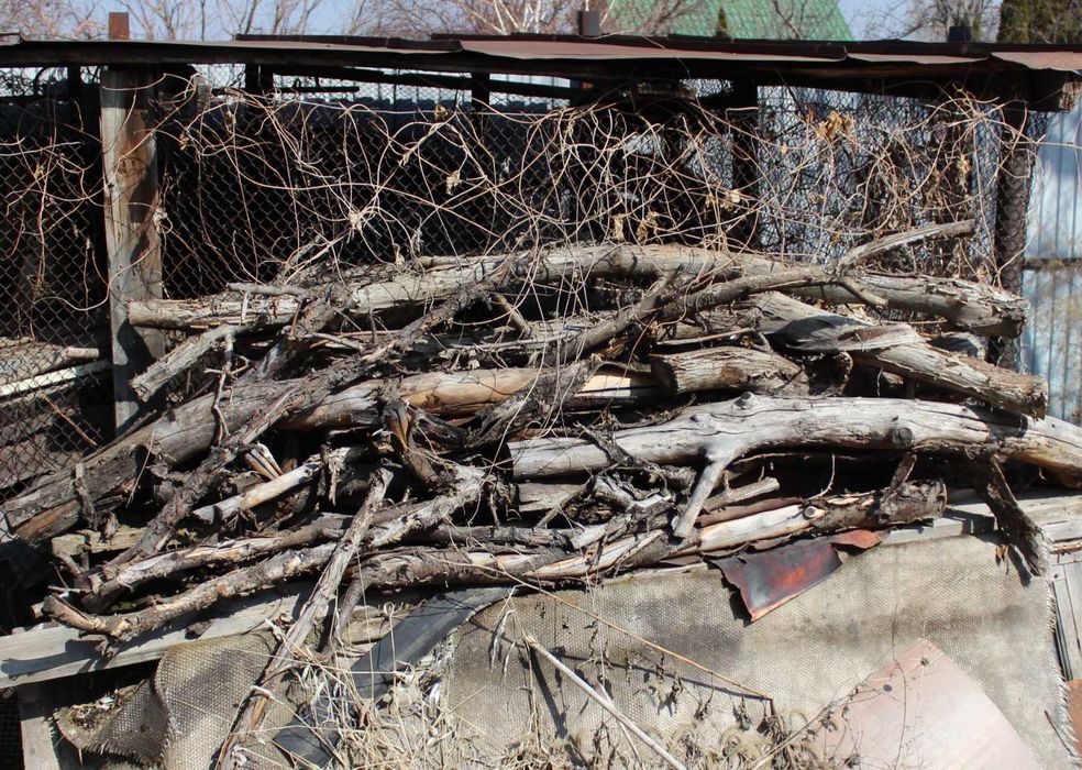 Крупные ветки ореха на дрова на тандыр