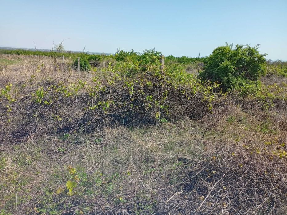 Продава се Земеделски имот в с. Брестник, Област Пловдив -  кв.м за 27000 €/дка - Снимка #7