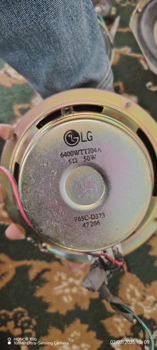 Muz sentrda yechin olingan kalonkalar sotiladi xolati yangi