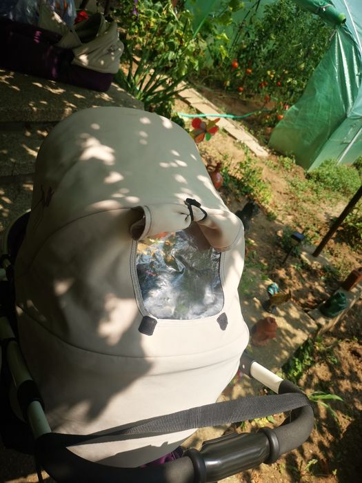 Lorelli Monza3 miss Bambi