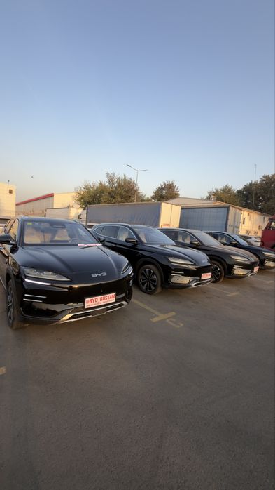 Byd champion smart 2026 фулл позиция