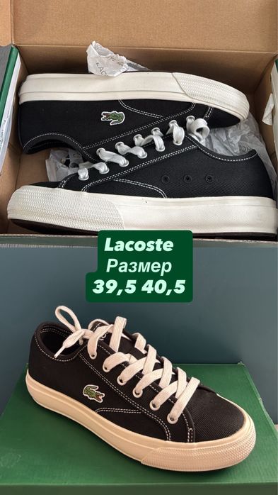 Оригинальная обувь Adidas lacoste