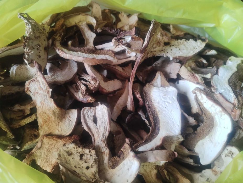 Продавам Гъби Манатарки