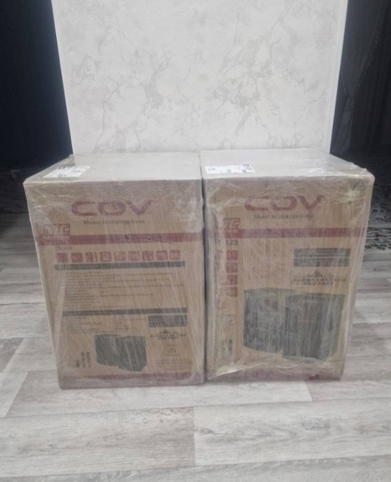 Продам караоке калонка COV CV125
