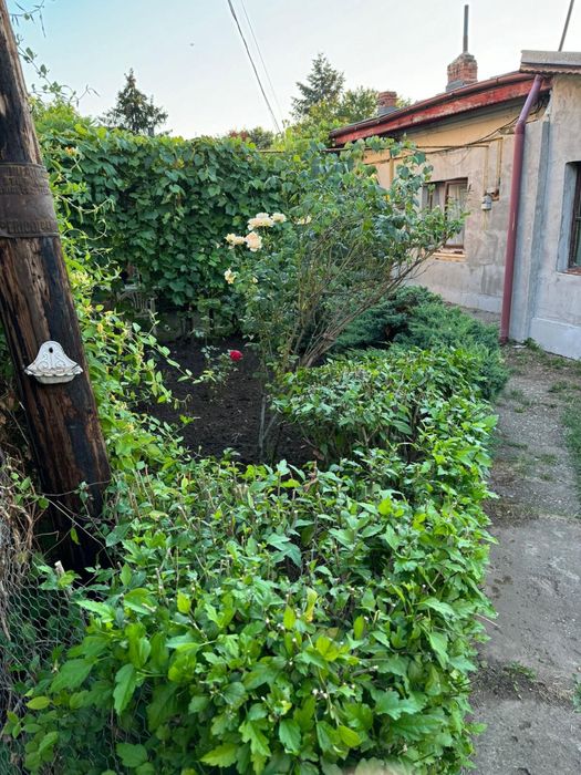 Teren de vânzare Băneasa – Dobrogeanu Gherea / Intrarea Ruginita