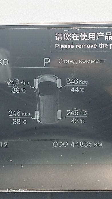 Byd seagul  сотилади